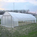 Plástico polietileno transparente para invernadero | Cubierta de 2x6m o 2x10m